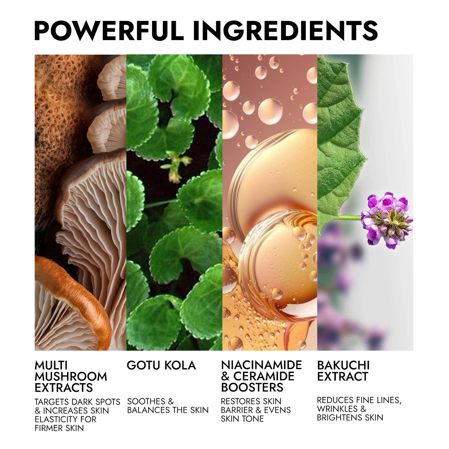 Shruum 360° Facial Serum