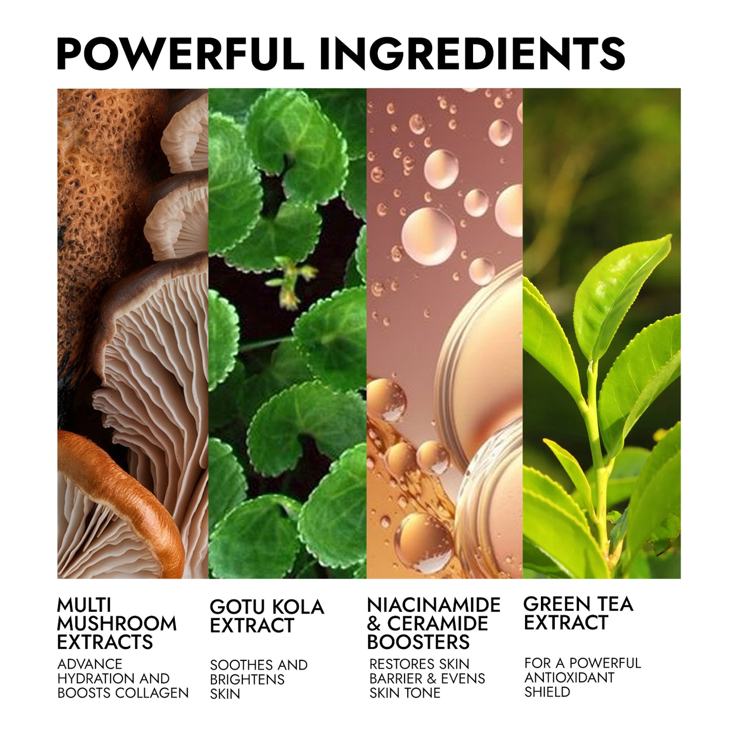 Shruum 360° Facial Moisturiser