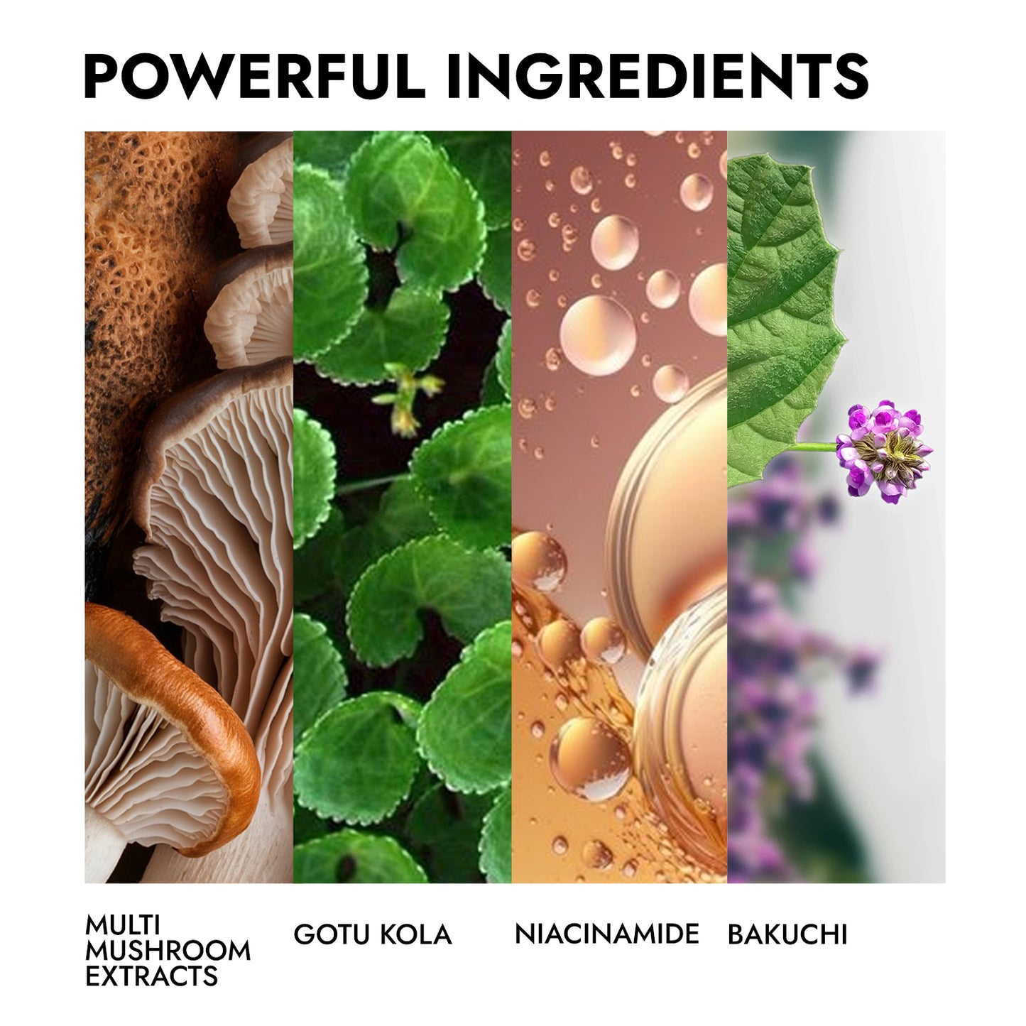 Glow, Hydrate and Depuff Kit